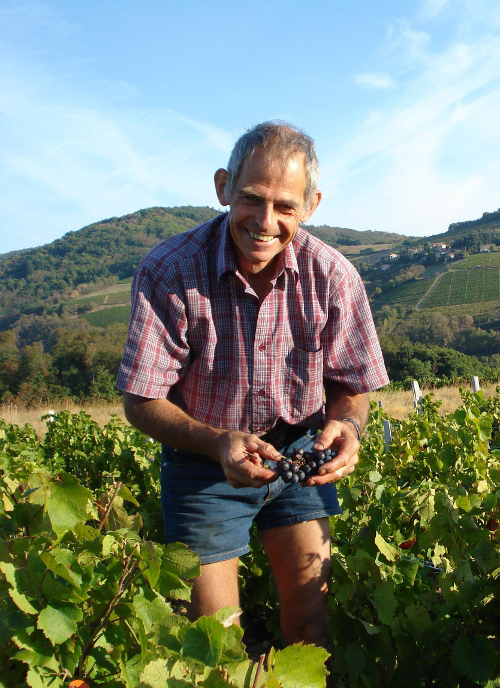 Association Terra Vitis Bernard Mathieu, premier président Terra Vitis